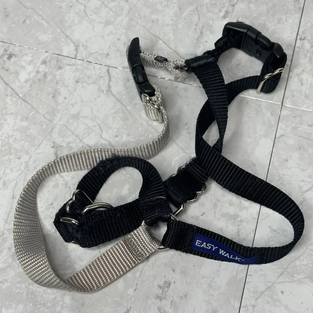 PetSafe pet safe